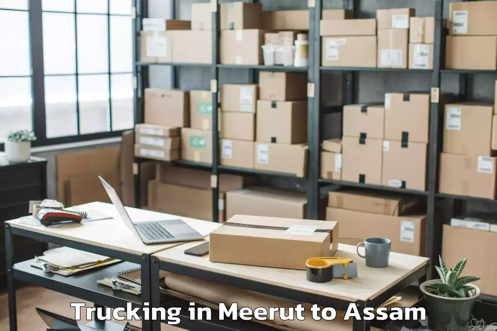 Professional Meerut to Agomani Trucking